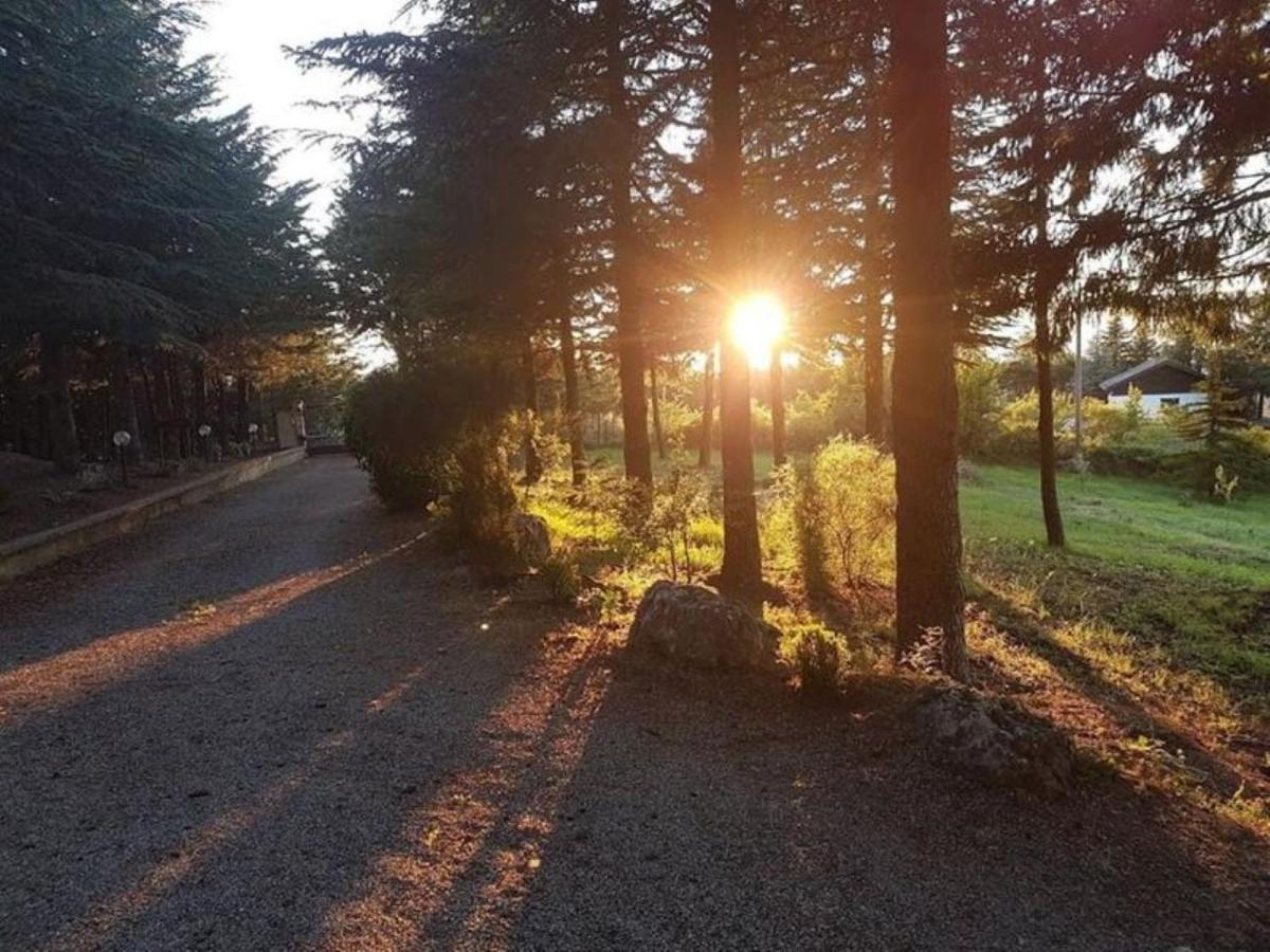 Le Conifere Apartment Pignola Bagian luar foto