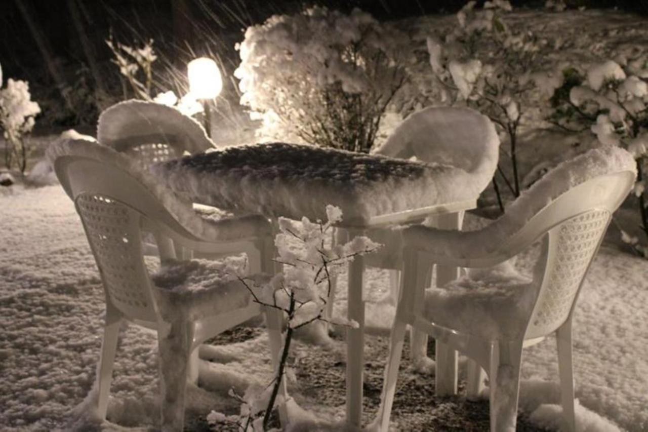 Le Conifere Apartment Pignola Bagian luar foto