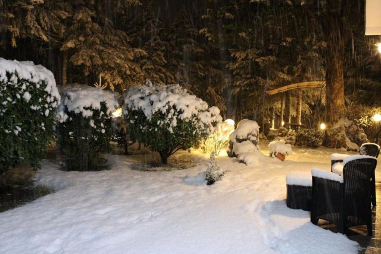Le Conifere Apartment Pignola Bagian luar foto