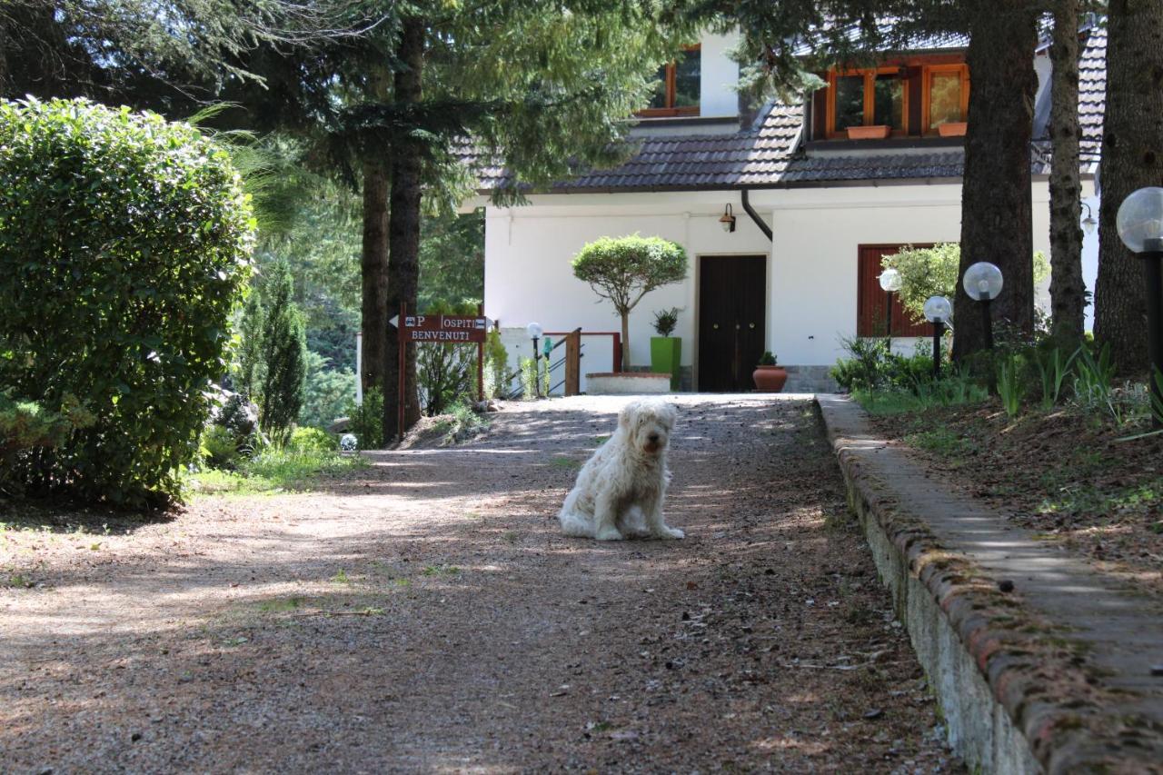 Le Conifere Apartment Pignola Bagian luar foto